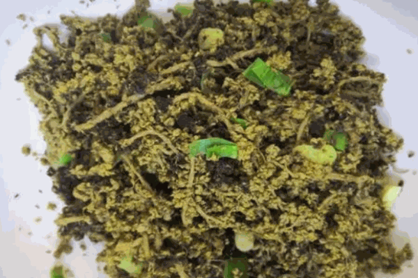 忘忧草粒粒冲剂